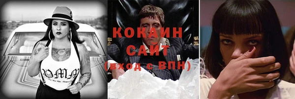 индика Балабаново