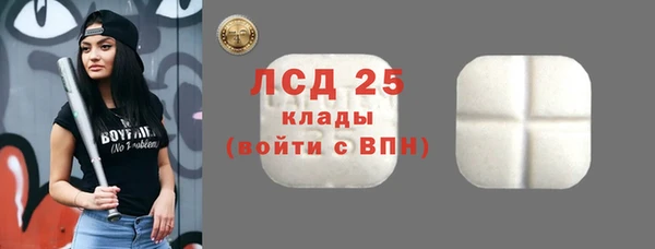 индика Балабаново