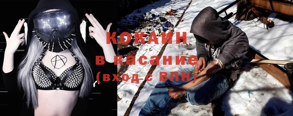 индика Балабаново