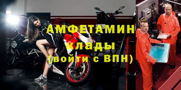 индика Балабаново