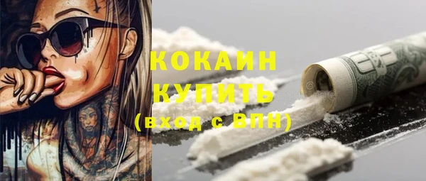 индика Балабаново